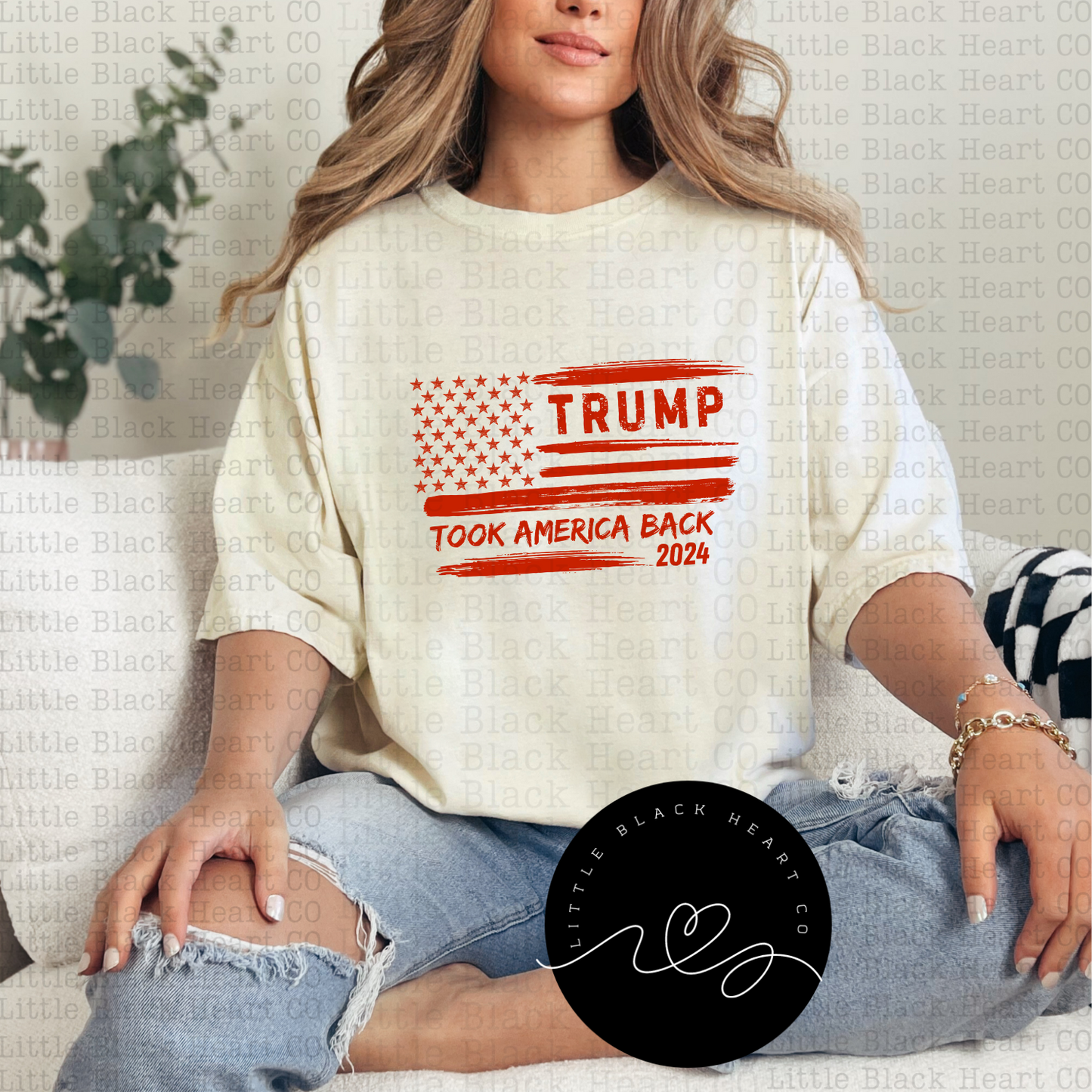 TRUMP TOOK AMERICA BACK 2024 TEES