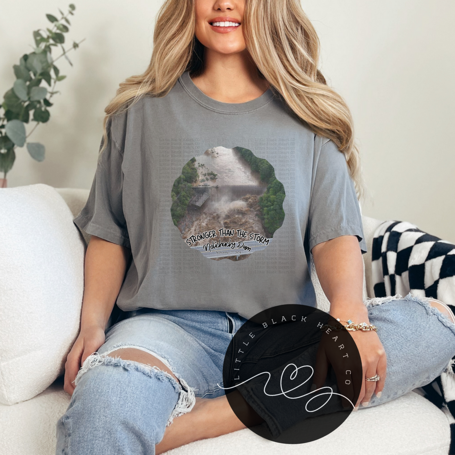 Stronger than the Storm- Nolichucky Dam Tees