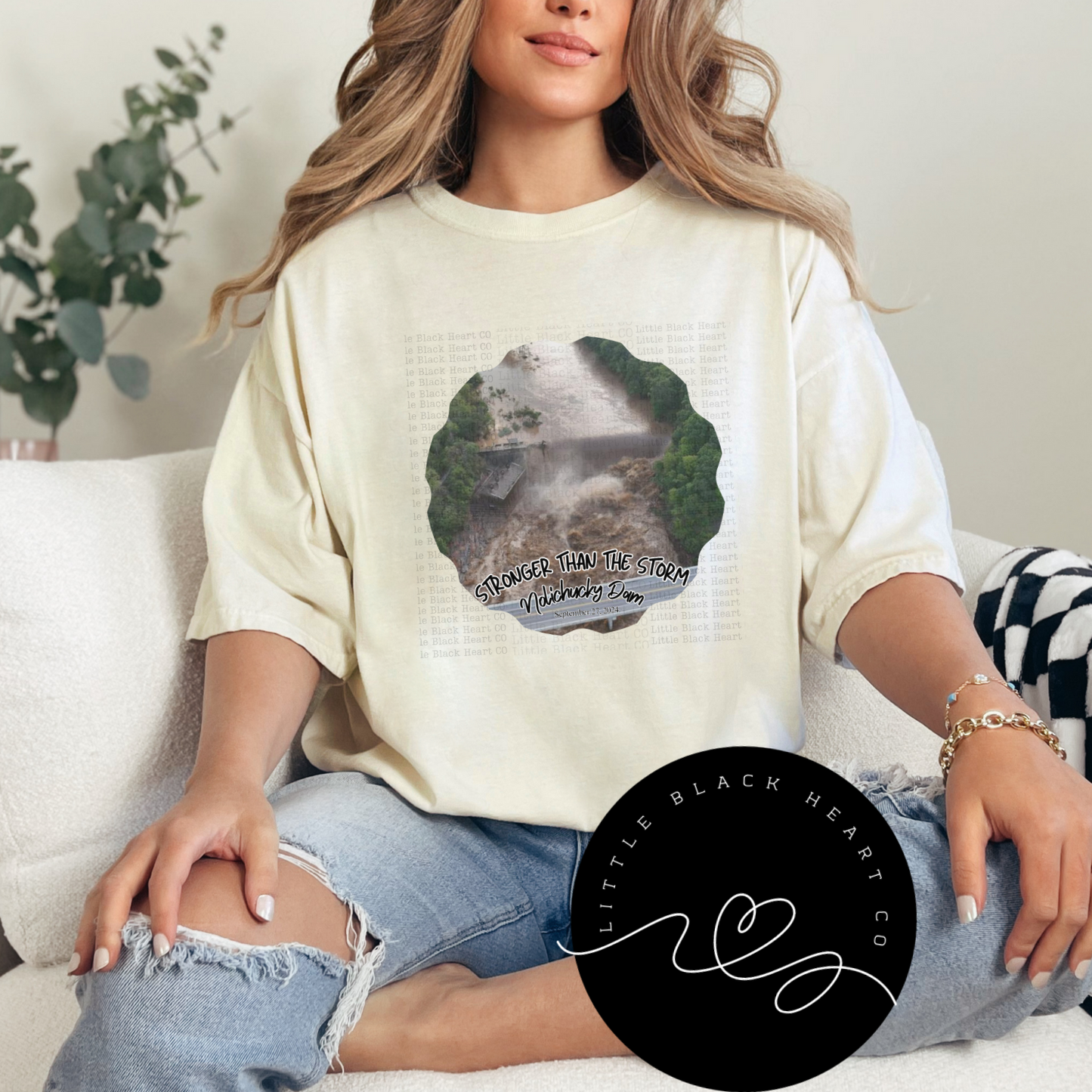 Stronger than the Storm- Nolichucky Dam Tees