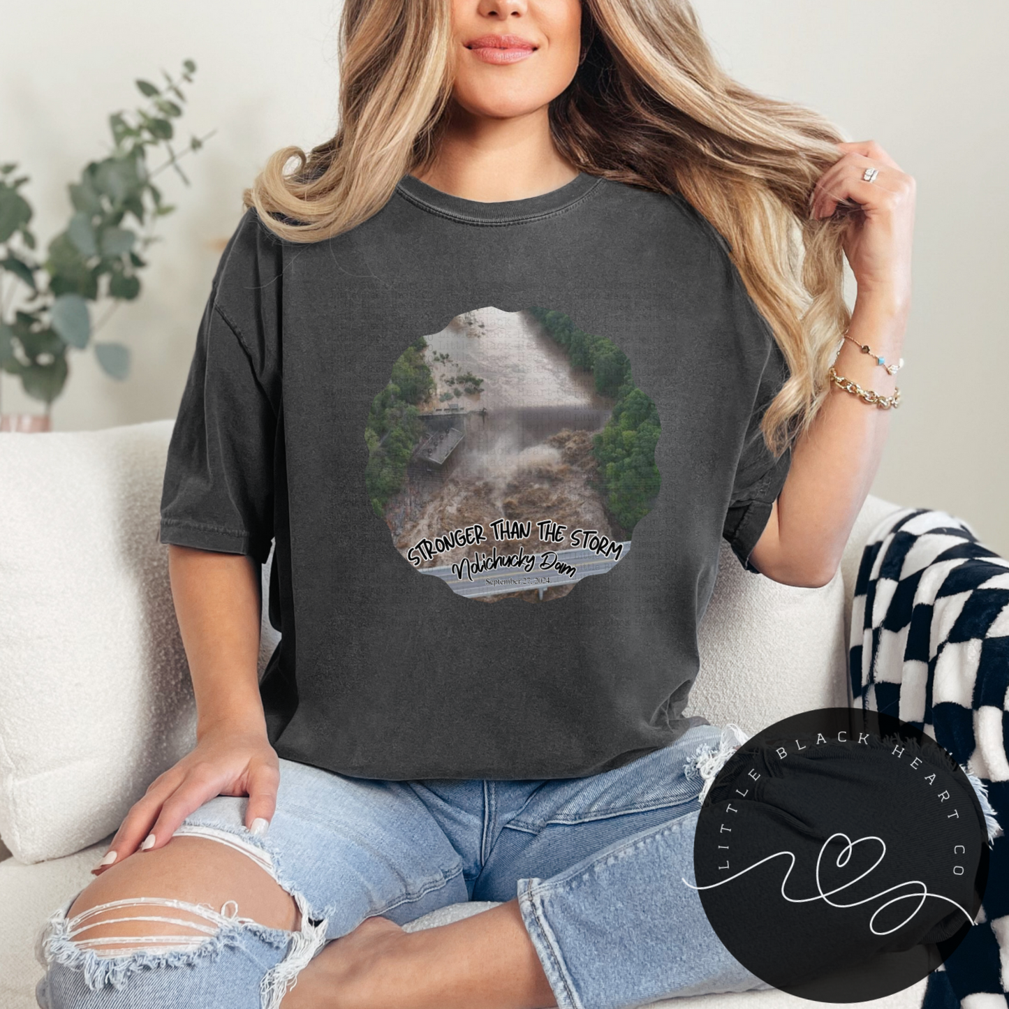 Stronger than the Storm- Nolichucky Dam Tees